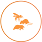 Allo Guêpes Dératisation
